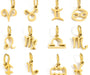 Zodiac sign charm